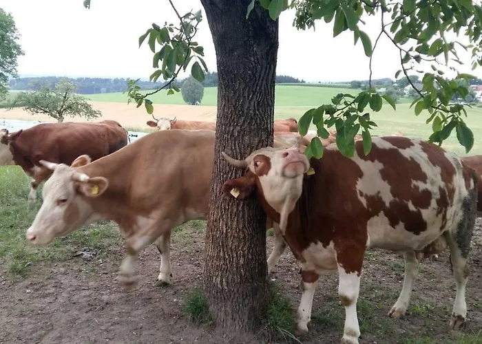 Bio Erlebnis Bauernhof Voit *