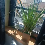 Bio Erlebnis Bauernhof Voit Sochtenau