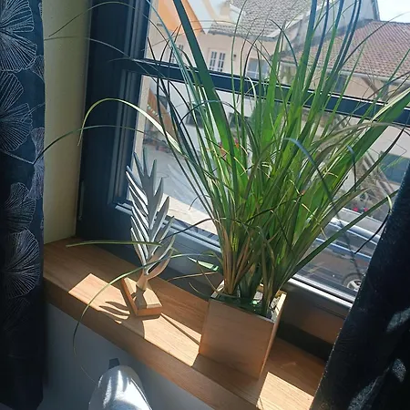 Bio Erlebnis Bauernhof Voit Sochtenau