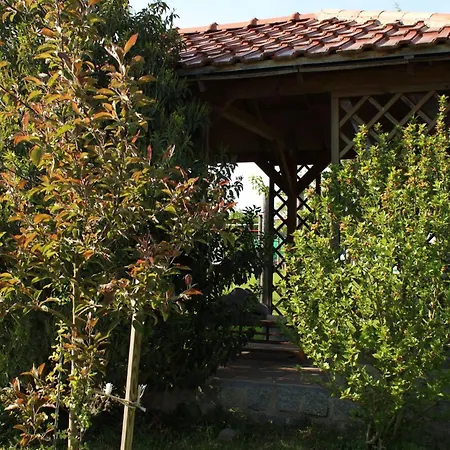 Bio Erlebnis Bauernhof Voit Kır Evi *