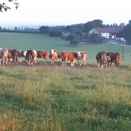 Bio Erlebnis Bauernhof Voit Venkovský dům