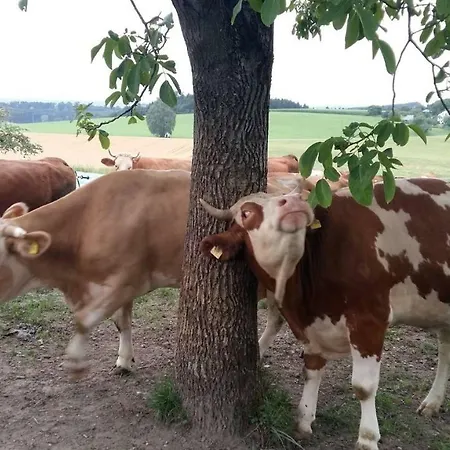 Bio Erlebnis Bauernhof Voit *