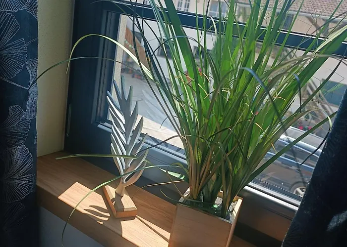 Bio Erlebnis Bauernhof Voit Sochtenau