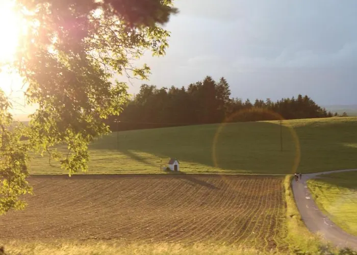 Bio Erlebnis Bauernhof Voit * Sochtenau